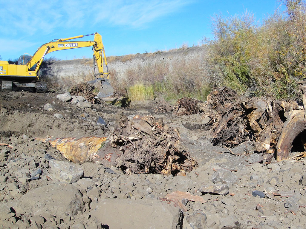 Salmon Recovery Umatilla River Basin